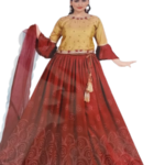 beautiful lehenga choli for ladies